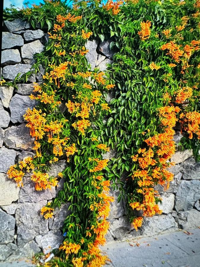 Splendid Star Tenerife San Miguel de Abona Exterior foto